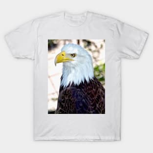 American Bald Eagle T-Shirt